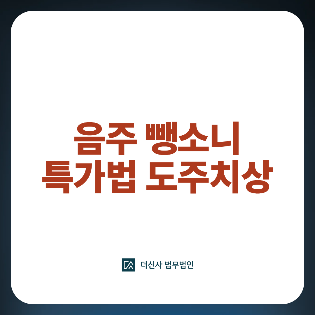 음주 뺑소니 특가법 도주치상 이미지